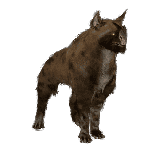 Raksa Kubrow yoldaş görseli