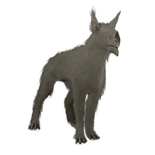 Sunika Kubrow yoldaş görseli